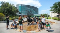 Американский University of South Florida предлагает стипендии для иностранных студентов