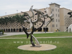 Florida International University, Miami (36)