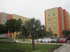 Florida International University, Miami (37)