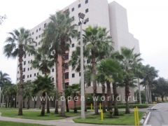 Florida International University, Miami (39)