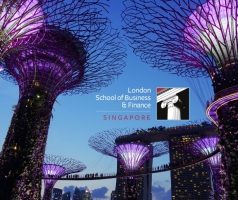 Онлайн программы подготовки к поступлению университет от LSBF Singapore!